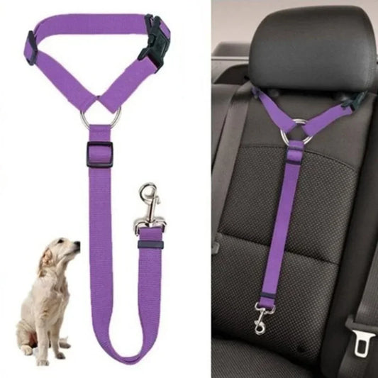 Cinto para transportar cachorro.